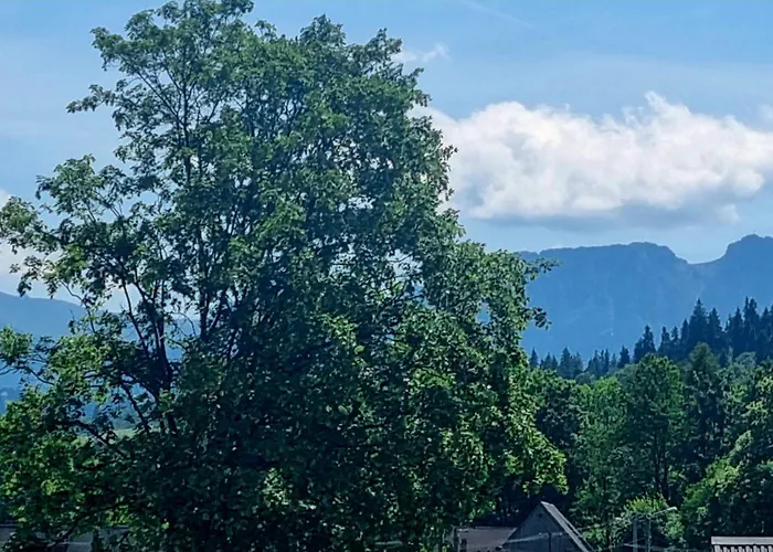 U Ani Appartamento *